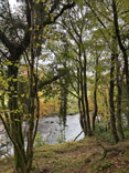 photo 01