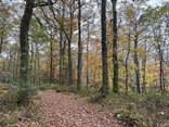 photo 04