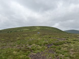 photo 01