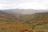 photo 06